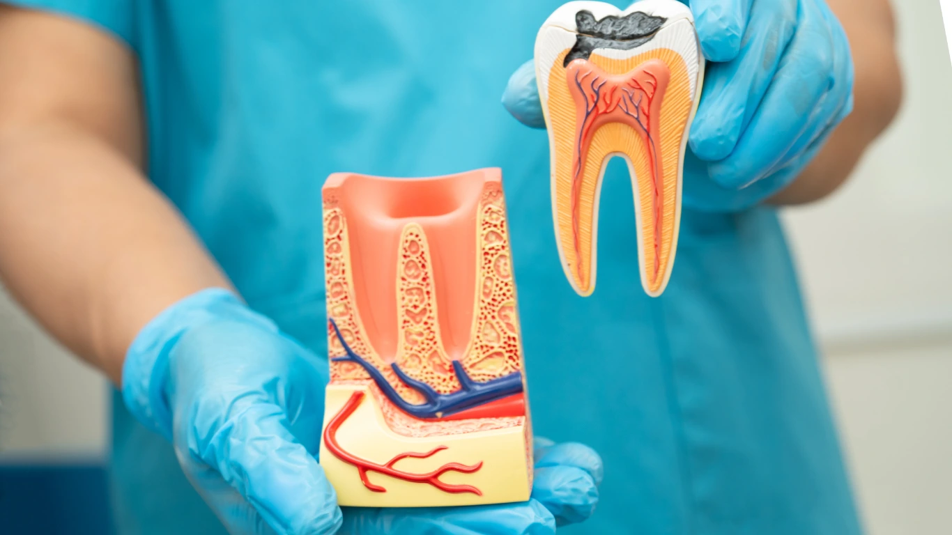 root canal treatment, rawang by dr ching dental clinic